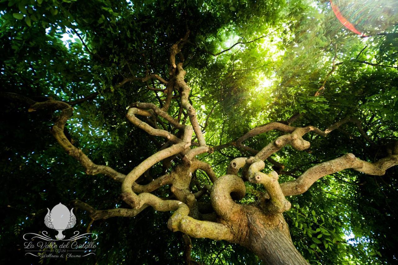 La Valle Del Cristallo Wellness & Charme Ostuni Kültér fotó